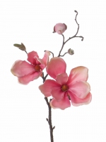 Magnolia x2 bloem 48cm, roze